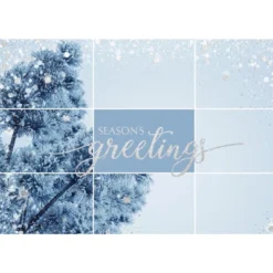 CEO Cards Holiday Foil Printed Greeting Cards Box Set Of 25 Cards & 26 Envelopes - H1703