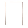 Ginger Ray Backdrop Frame Party Decoration Copper