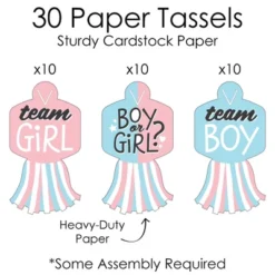 Big Dot Of Happiness Baby Gender Reveal - 90 Chain Links And 30 Paper Tassels Decoration Kit - Team Boy Or Girl Party Paper Chains Garland - 21 Feet -Anagram Shop GUEST 4cba1adf e091 431c 8b18 25d9b13002bf