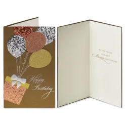2ct Cards Glitter Balloons And Mountain Range - PAPYRUS