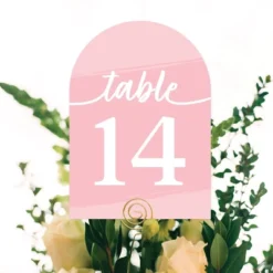 Big Dot Of Happiness Pink Elegantly Simple - Wedding Receptions, Parties Or Events Double-Sided 5 X 7 Inches Cards - Table Numbers - 1-20 -Anagram Shop GUEST 8fe0d3af c02a 45b9 9d8b 0a95c5cd2ab6
