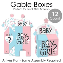 Big Dot Of Happiness Baby Gender Reveal - Treat Box Party Favors - Team Boy Or Girl Party Goodie Gable Boxes - Set Of 12 -Anagram Shop GUEST 99a6d437 cdc3 4a0d ad10 4b25fd8e5ed9