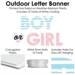Big Dot Of Happiness Baby Gender Reveal - Team Boy Or Girl Party Decorations - Boy Or Girl - Outdoor Letter Banner 8 Big Dot Of Happiness Baby Gender Reveal - Team Boy Or Girl Party Decorations - Boy Or Girl - Outdoor Letter Banner -Anagram Shop GUEST c3051583 27e9 47a9 8d70 711baa920f36