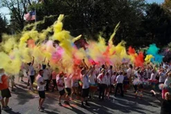 Chameleon Colors Gender Reveal Powder - Easy-Open Bags Of Color Chalk Powder - 2 Pack Of 1 Lb Bags -Anagram Shop GUEST d43fc3a5 7ec5 4fee 9047 7203b1e1c445 3