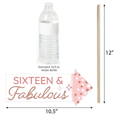 Big Dot Of Happiness Funny 16th Pink Rose Gold Birthday - Happy Birthday Party Photo Booth Props Kit - 10 Piece 2 Big Dot Of Happiness Funny 16th Pink Rose Gold Birthday - Happy Birthday Party Photo Booth Props Kit - 10 Piece - Image 2